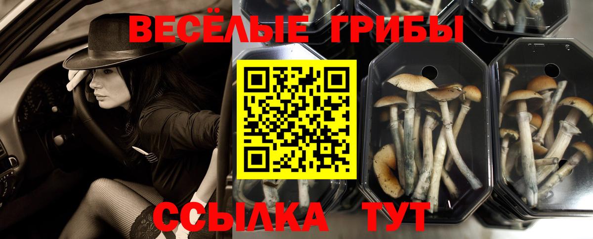 Псилоцибиновые грибы ЛСД Алексин